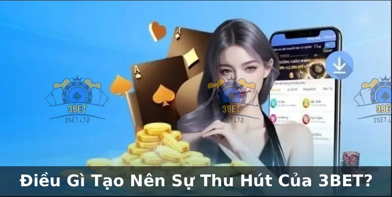 Hệ Thống Sảnh Chơi Đa Dạng và Phong Phú