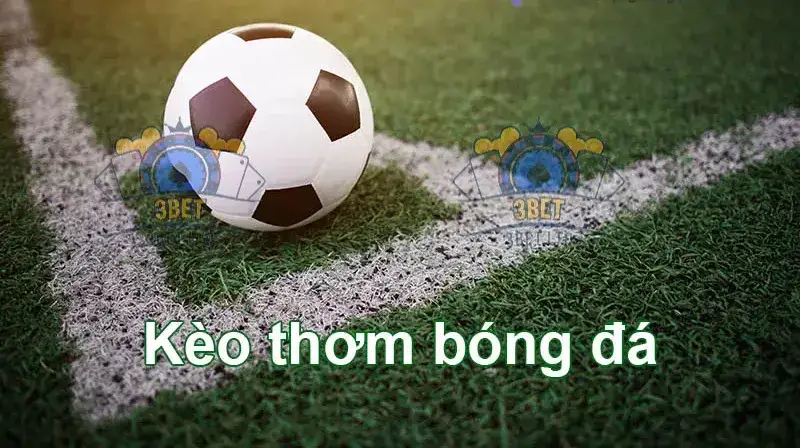 Chọn nhà cái uy tín