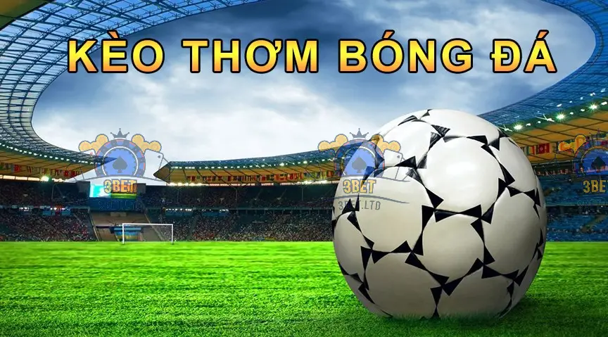 Đánh giá lực lượng và chấn thương