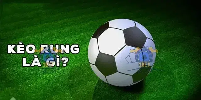 Thấu Hiểu Bản Chất Của Kèo Rung
