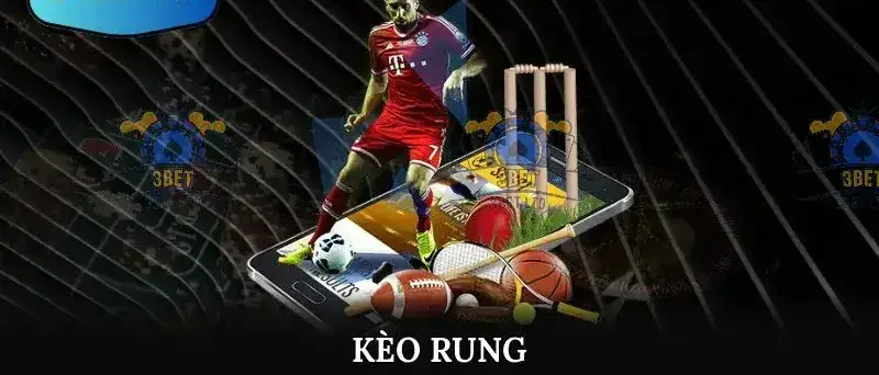 Sử Dụng Thông Tin Hỗ Trợ