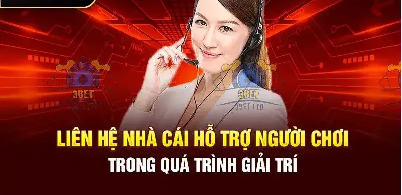 Kết Nối Qua Telegram/Zalo: Gần Gũi và Tiện Lợi